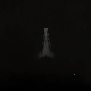 Sault Untitled (Rise) - LTD (2LP)