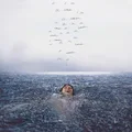Shawn Mendes Wonder (LP)