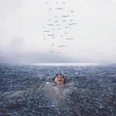 Shawn Mendes Wonder (LP)