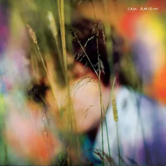 Sam Amidon Sam Amidon - LTD (LP)