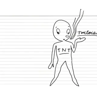 Tortoise TNT - LTD (LP)