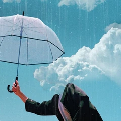 eaJ When The Rain Stopped… - LTD (LP)