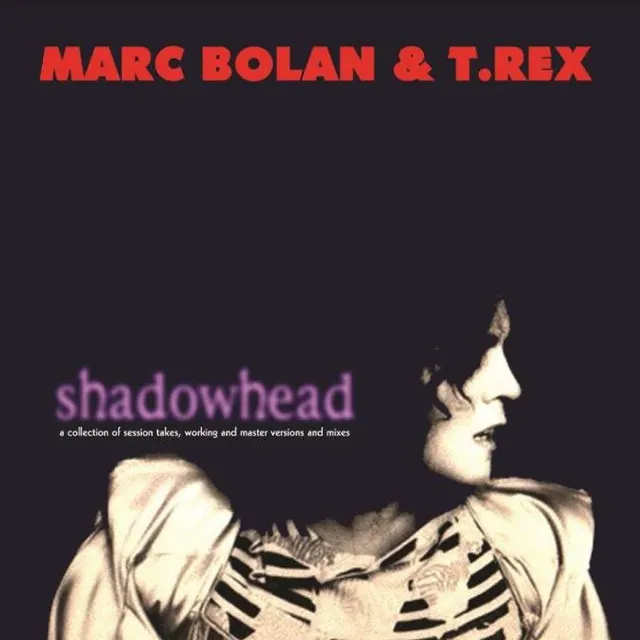 Marc Bolan & T.Rex Shadowhead (LP) 