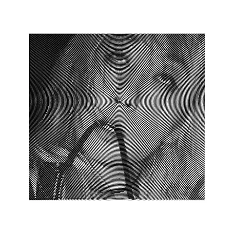 Evicshen Hair Birth (LP) 