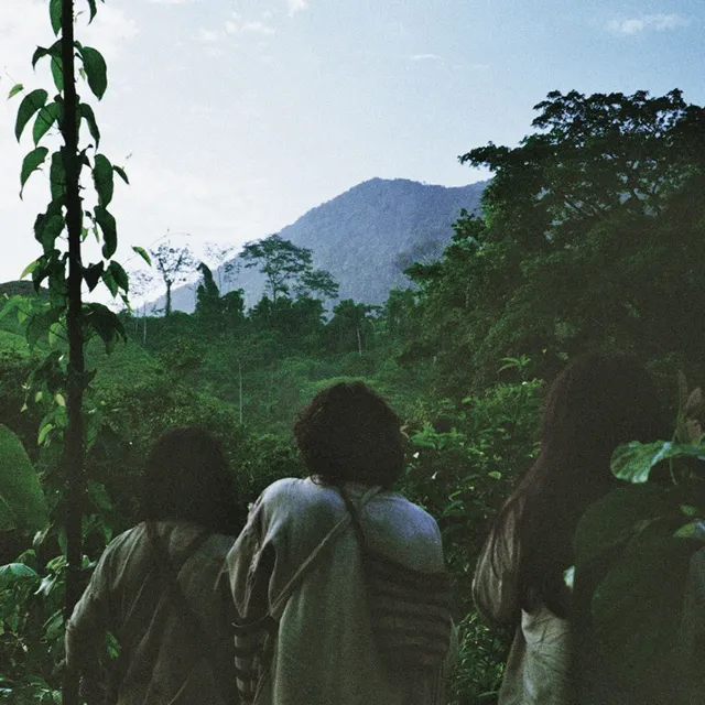 Lion's Drums Kagabas (LP) 