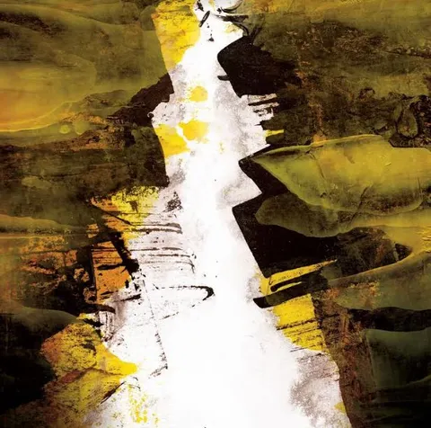 Lizzard Eroded (LP) 