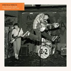 Diverse Artister Strum &amp; Thrum: The American Jangle (2LP)