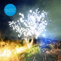 The Notwist Vertigo Days (2LP)