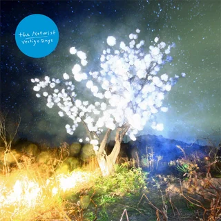 The Notwist Vertigo Days (2LP)