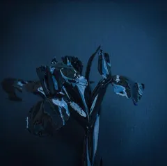 A Swarm Of The Sun Rifts (2LP)