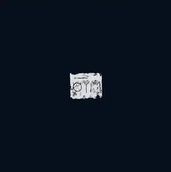 A Swarm Of The Sun Woods (LP)