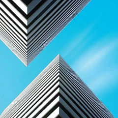 Snow Palms Land Waves (LP)