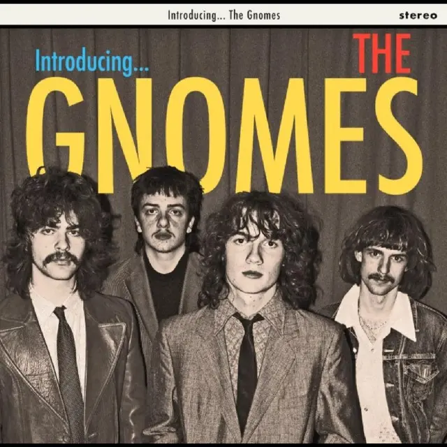 The Gnomes The Gnomes - LTD (LP) 