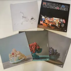 Reinhard Vanbergen Ubuntu/Stringworx/Presents For … (3LP)