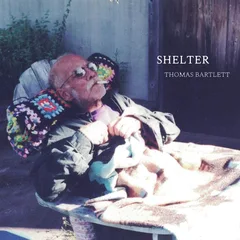 Thomas Bartlett Shelter (LP)