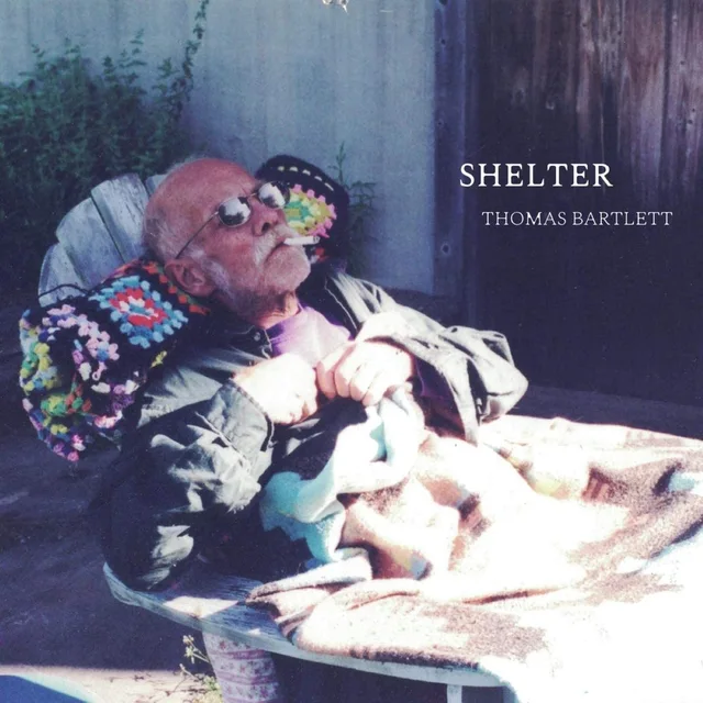 Thomas Bartlett Shelter (LP) 