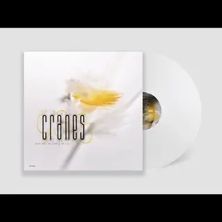 Cranes John Peel Sessions - LTD (LP)