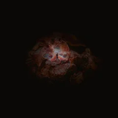 Emmerhoff &amp; The Melancholy Babies The Dying Of The Light (LP)