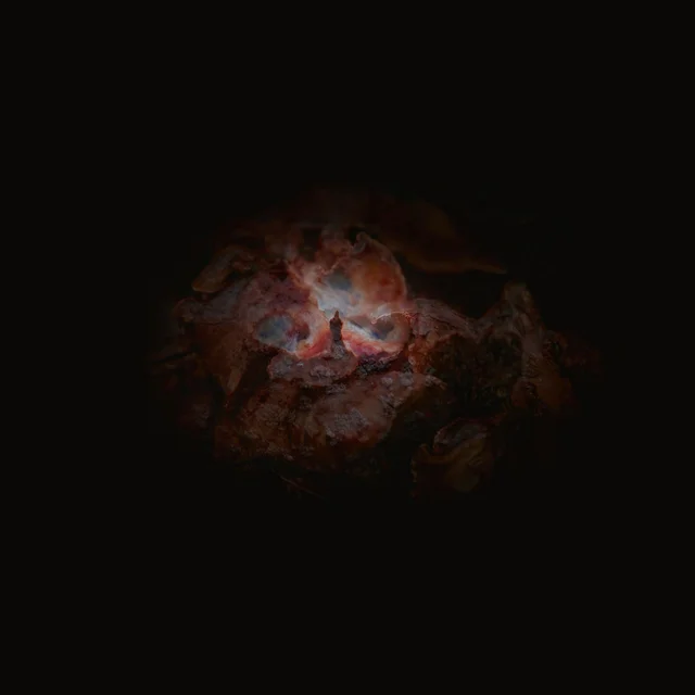 Emmerhoff & The Melancholy Babies The Dying Of The Light (LP) 