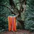 James Holden &amp; The Animal Spirits The Animal Spirits (LP)