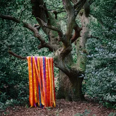 James Holden &amp; The Animal Spirits The Animal Spirits (LP)