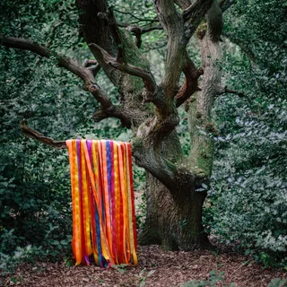 James Holden &amp; The Animal Spirits The Animal Spirits (LP)