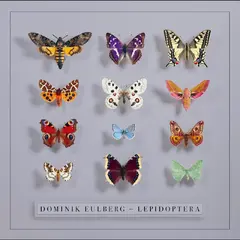 Dominik Eulberg Lepidoptera (2LP)