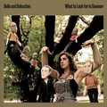 Belle &amp; Sebastian What To Look For In Summer (2LP)