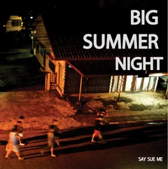 Say Sue Me Big Summer Night (LP)