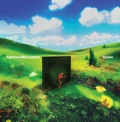 Rainbow Kitten Surprise Bones (LP)