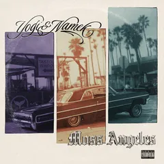 Yogisoul &amp; Namek Moss Angeles (LP)
