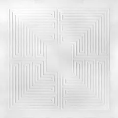 These New Puritans Hidden (MMXX) (2LP)