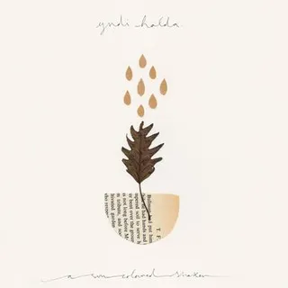 Yndi Halda A Sun Coloured Shaker (LP) 
