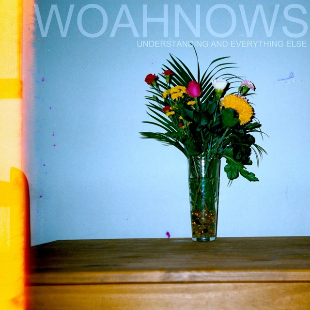Woahnows Understanding And Everything Else (LP) 