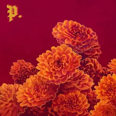 Proper. I Spent The Winter Writing (LP)