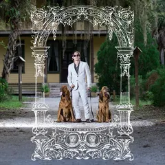 Pet Symmetry Pets Hounds (LP)
