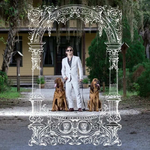 Pet Symmetry Pets Hounds (LP) 