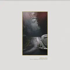 Steve Bug Never Ending Winding Roads (2LP)