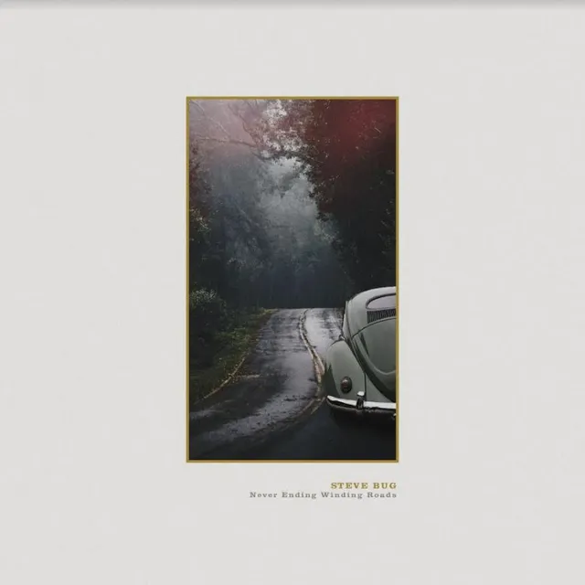 Steve Bug Never Ending Winding Roads (2LP) 