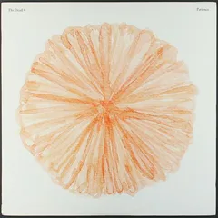 The Dead C Patience (LP)