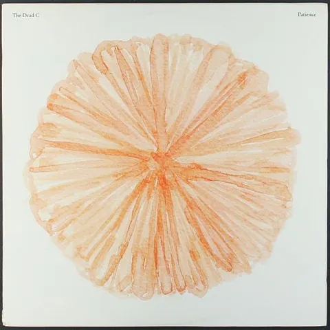 The Dead C Patience (LP) 