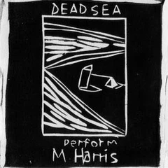 The Dead C Max Harris (LP)