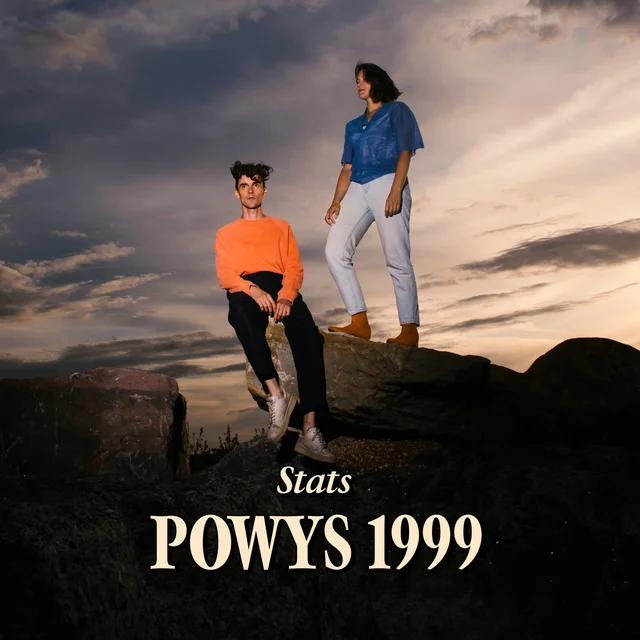 Stats Powys 1999 - LTD (LP) 