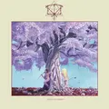 Iterum Nata Bardo Disorder (LP)