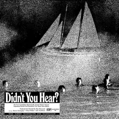 Mort Garson Didn't You Hear? - LTD (LP)