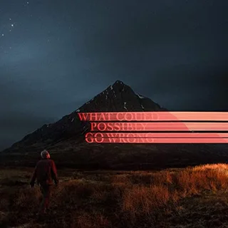 Dominic Fike What Could Possibly Go Wrong (LP)