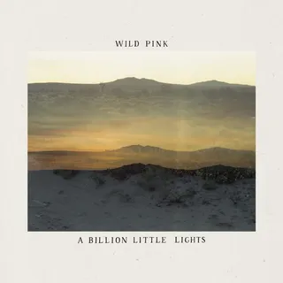 Wild Pink A Billion Little Lights (LP)