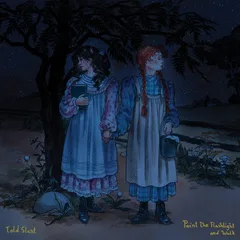 Told Slant Point The Flashlight And Walk (LP)
