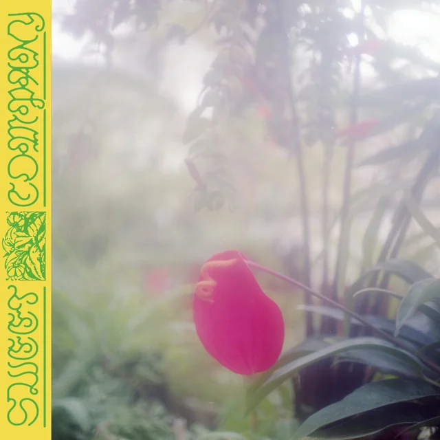 Jabu Sweet Company (LP) 