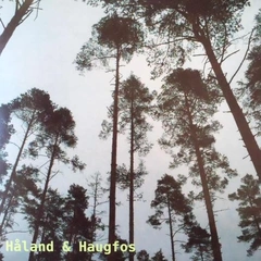 Håland &amp; Haugfos Håland &amp; Haugfos (LP)